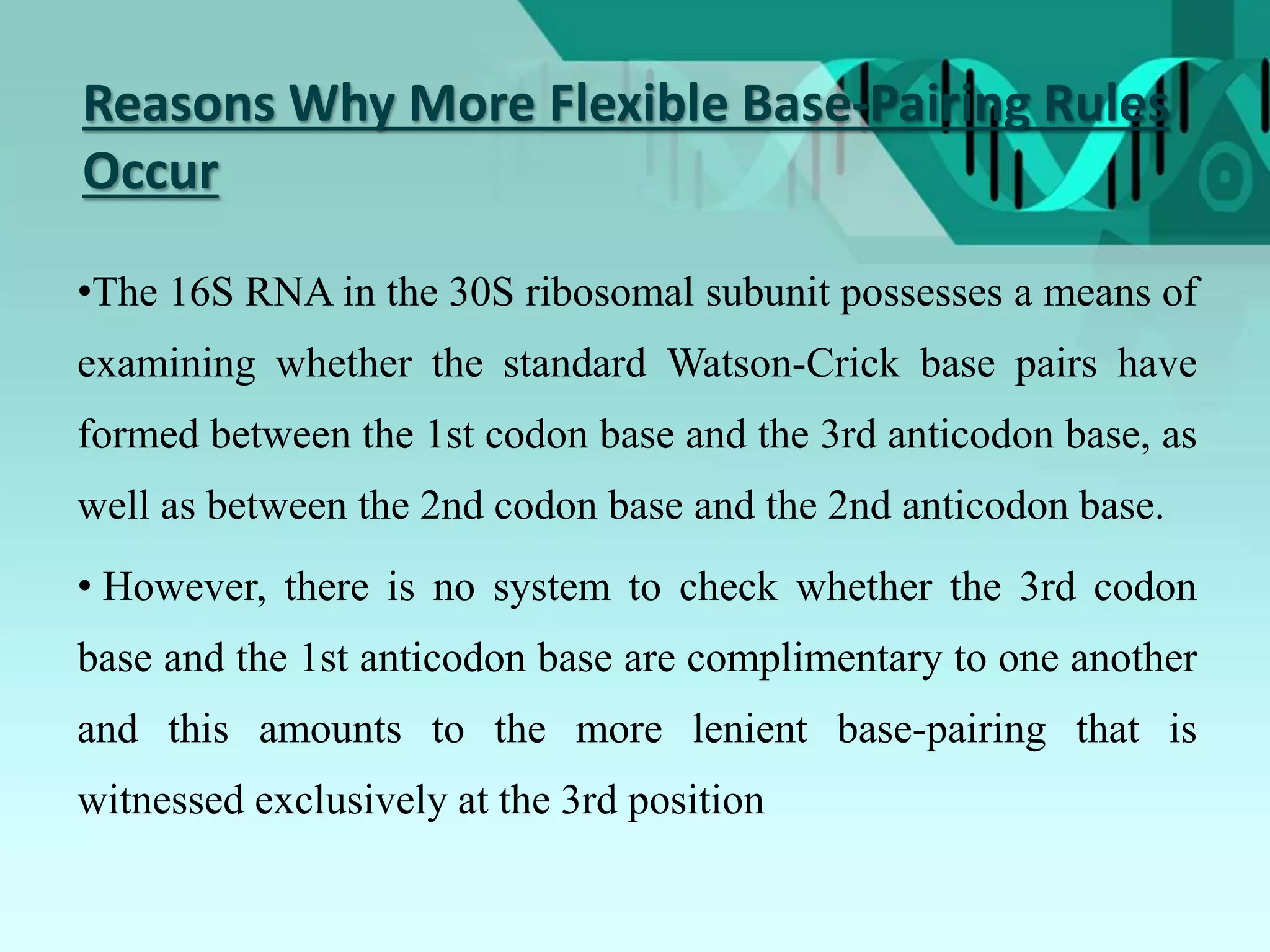 Reasons Why More Flexible Base-Pairing Rules
Occur
•The 16S RNA in the 30S ribosomal subunit possesses a means of
examining whether the standard Watson-Crick base pairs have
formed between the 1st codon base and the 3rd anticodon base, as
well as between the 2nd codon base and the 2nd anticodon base.
• However, there is no system to check whether the 3rd codon
base and the 1st anticodon base are complimentary to one another
and this amounts to the more lenient base-pairing that is
witnessed exclusively at the 3rd position
 