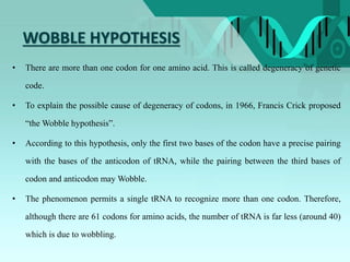 WOBBLE HYPOTHESIS
• There are more than one codon for one amino acid. This is called degeneracy of genetic
code.
• To explain the possible cause of degeneracy of codons, in 1966, Francis Crick proposed
“the Wobble hypothesis”.
• According to this hypothesis, only the first two bases of the codon have a precise pairing
with the bases of the anticodon of tRNA, while the pairing between the third bases of
codon and anticodon may Wobble.
• The phenomenon permits a single tRNA to recognize more than one codon. Therefore,
although there are 61 codons for amino acids, the number of tRNA is far less (around 40)
which is due to wobbling.
 