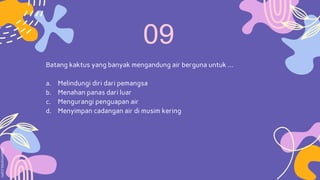 Batang kaktus yang banyak mengandung air berguna untuk …
a. Melindungi diri dari pemangsa
b. Menahan panas dari luar
c. Mengurangi penguapan air
d. Menyimpan cadangan air di musim kering
 
