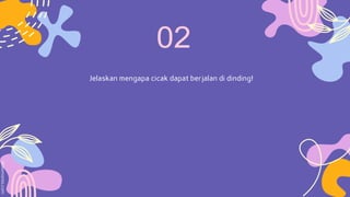 Jelaskan mengapa cicak dapat berjalan di dinding!
 