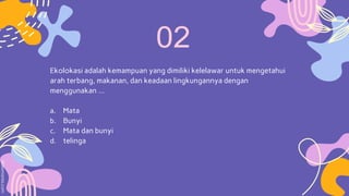 Ekolokasi adalah kemampuan yang dimiliki kelelawar untuk mengetahui
arah terbang, makanan, dan keadaan lingkungannya dengan
menggunakan …
a. Mata
b. Bunyi
c. Mata dan bunyi
d. telinga
 