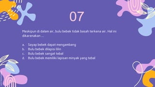 Meskipun di dalam air, bulu bebek tidak basah terkena air. Hal ini
dikarenakan …
a. Sayap bebek dapat mengambang
b. Bulu bebek dilapisi lilin
c. Bulu bebek sangat tebal
d. Bulu bebek memiliki lapisan minyak yang tebal
 