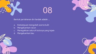 Bentuk pertahanan diri landak adalah …
a. Kemampuan mengubah warna kulit
b. Mengeluarkan racun
c. Menegakkan seluruh bulunya yang tajam
d. Mengeluarkan bau
 