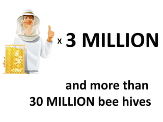 X   3 MILLION
      and more than
30 MILLION bee hives
 