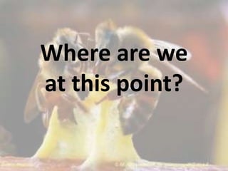 Where are we
at this point?
 
