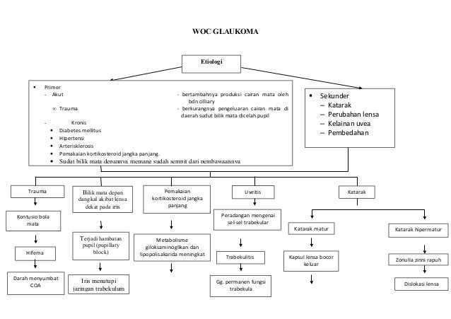 Woc Penyakit Mata Glaukoma