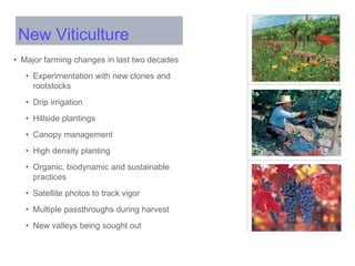 • Major farming changes in last two decades
• Experimentation with new clones and
rootstocks
• Drip irrigation
• Hillside plantings
• Canopy management
• High density planting
• Organic, biodynamic and sustainable
practices
• Satellite photos to track vigor
• Multiple passthroughs during harvest
• New valleys being sought out
New Viticulture
 