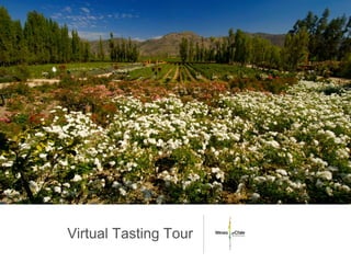 Virtual Tasting Tour
 