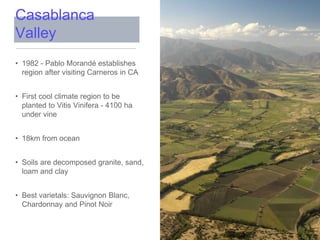 • 1982 - Pablo Morandé establishes
region after visiting Carneros in CA
• First cool climate region to be
planted to Vitis Vinifera - 4100 ha
under vine
• 18km from ocean
• Soils are decomposed granite, sand,
loam and clay
• Best varietals: Sauvignon Blanc,
Chardonnay and Pinot Noir
Casablanca
Valley
 