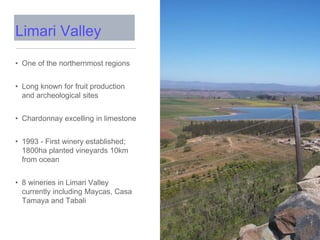 • One of the northernmost regions
• Long known for fruit production
and archeological sites
• Chardonnay excelling in limestone
• 1993 - First winery established;
1800ha planted vineyards 10km
from ocean
• 8 wineries in Limari Valley
currently including Maycas, Casa
Tamaya and Tabali
Limari Valley
 