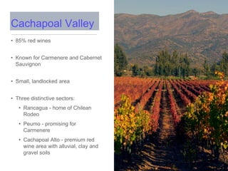 • 85% red wines
• Known for Carmenere and Cabernet
Sauvignon
• Small, landlocked area
• Three distinctive sectors:
• Rancagua - home of Chilean
Rodeo
• Peumo - promising for
Carmenere
• Cachapoal Alto - premium red
wine area with alluvial, clay and
gravel soils
Cachapoal Valley
 