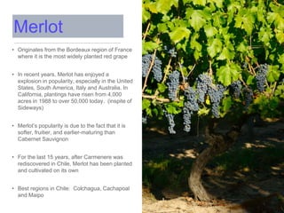 • Originates from the Bordeaux region of France
where it is the most widely planted red grape
• In recent years, Merlot has enjoyed a
explosion in popularity, especially in the United
States, South America, Italy and Australia. In
California, plantings have risen from 4,000
acres in 1988 to over 50,000 today. (inspite of
Sideways)
• Merlot’s popularity is due to the fact that it is
softer, fruitier, and earlier-maturing than
Cabernet Sauvignon
• For the last 15 years, after Carmenere was
rediscovered in Chile, Merlot has been planted
and cultivated on its own
• Best regions in Chile: Colchagua, Cachapoal
and Maipo
Merlot
 
