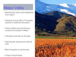 • Most famous wines and established
wine region
• Cabernet is king; 60% of vineyards
planted to Cabernet Sauvignon
• Chile’s oldest and most famous
wineries are located in Maipo
• Mountains and hills on all sides
• Well drained, alluvial and colluvial
soils
• Best vineyards on old terraces
• Unique microclimates
Maipo Valley
 