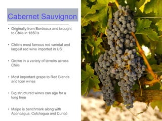 • Originally from Bordeaux and brought
to Chile in 1850’s
• Chile’s most famous red varietal and
largest red wine imported in US
• Grown in a variety of terroirs across
Chile
• Most important grape to Red Blends
and Icon wines
• Big structured wines can age for a
long time
• Maipo is benchmark along with
Aconcagua, Colchagua and Curicó
Cabernet Sauvignon
 