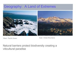 West: Pacific Ocean
Geography: A Land of Extremes
East: Andes Mountains
Natural barriers protect biodiversity creating a
viticultural paradise
 