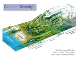 Mediterranean Climate
East to West Topography
Wide range of Microclimates
Climatic Diversity
 