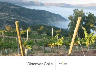 Discover Chile
 