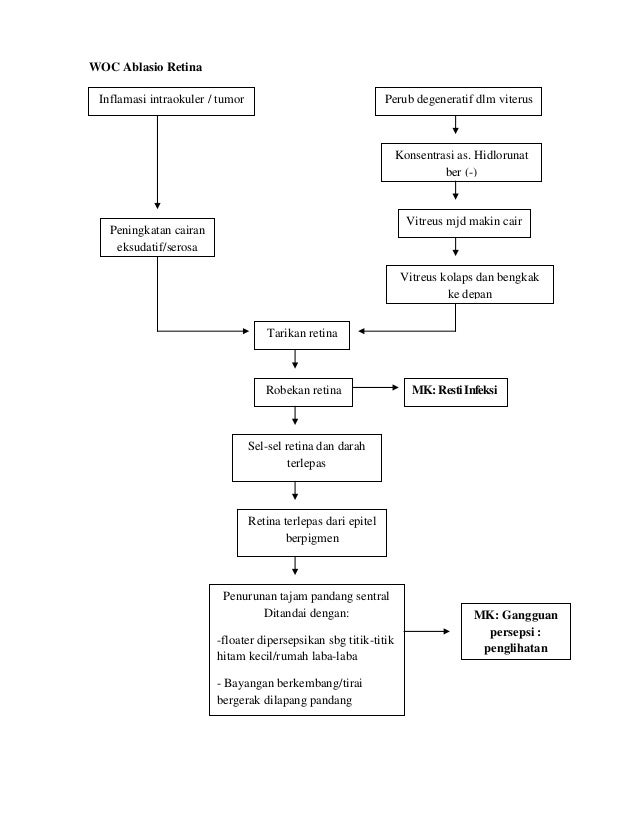 WOC Ablasio Retina Inflamasi intraokuler / tumor                                 Perub degeneratif dlm viterus            ...