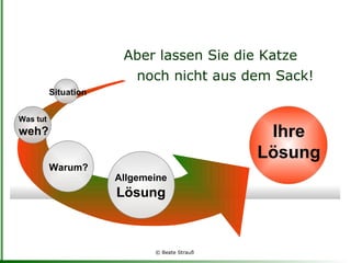 Aber lassen Sie die Katze noch nicht aus dem Sack! Situation Allgemeine   Lösung Was tut  weh? Ihre Lösung Warum? 