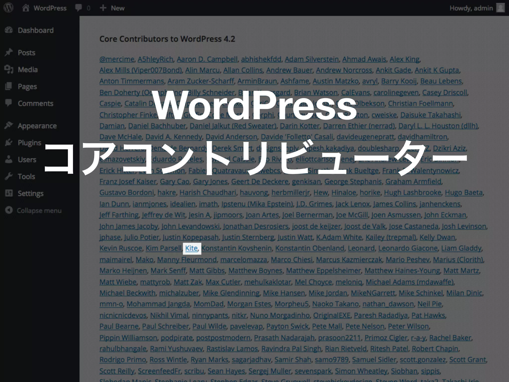 WordPress
コアコントリビューター
 