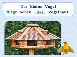 Der kleine Vogel
fliegt neben ______ Vogelhaus.das
 