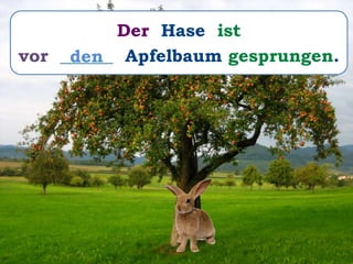 Der Hase ist
vor ______ Apfelbaum gesprungen.den
 