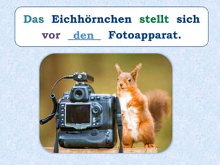 Das Eichhörnchen stellt sich
vor ______ Fotoapparat.den
 