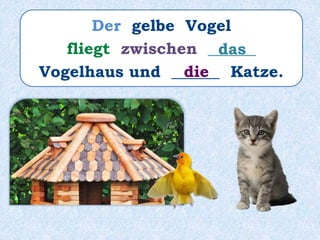 Der gelbe Vogel
fliegt zwischen ______
Vogelhaus und ______ Katze.
das
die
 