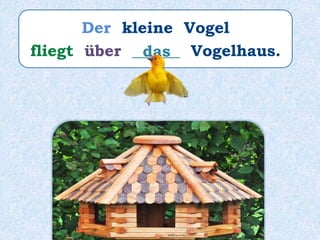 Der kleine Vogel
fliegt über ______ Vogelhaus.das
 