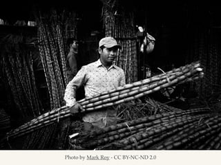 Photo by Mark Roy - CC BY-NC-ND 2.0
 