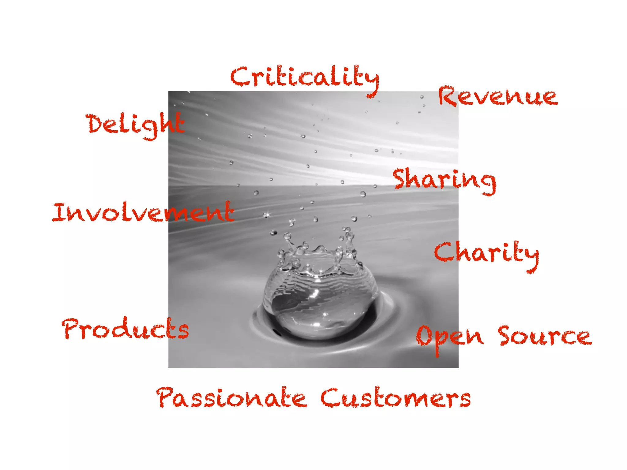 Products
Passionate Customers
Open Source
Delight
Criticality
Sharing
Charity
Involvement
Revenue
 