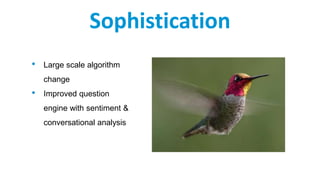 Sophistication
• Large scale algorithm
change
• Improved question
engine with sentiment &
conversational analysis
 