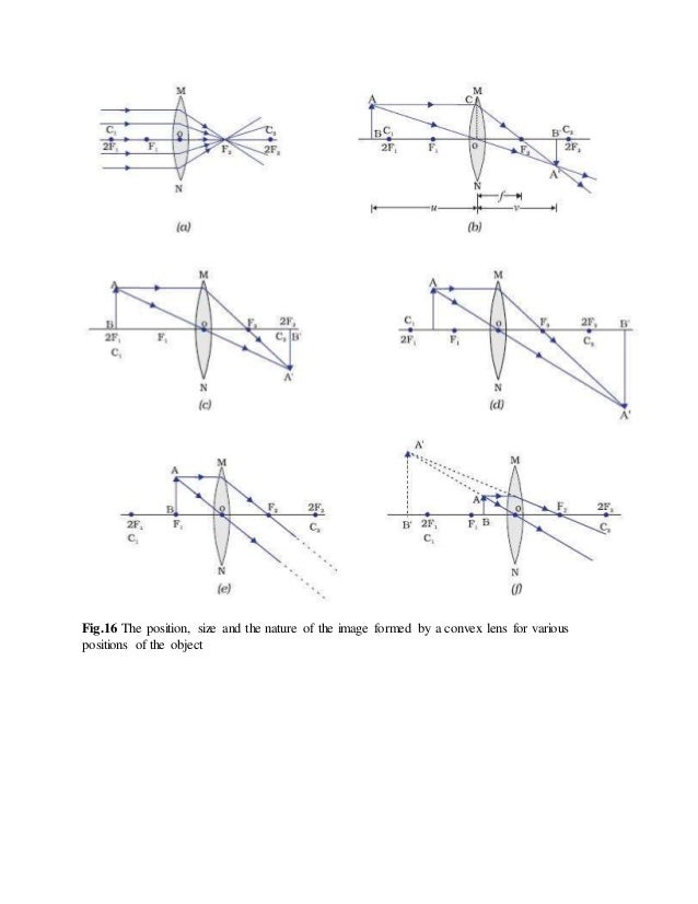 [31+] Image Formation By Convex Mirror For Different Positions Of The Object