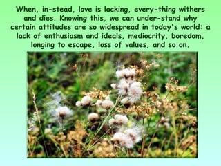 When, in­stead, love is lacking, every­thing withers
    and dies. Knowing this, we can under­stand why
certain attitudes are so widespread in today's world: a
  lack of enthusiasm and ideals, mediocrity, boredom,
      longing to escape, loss of values, and so on.
 