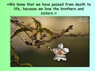 «We know that we have passed from death to
  life, because we love the brothers and
                 sisters.»
 