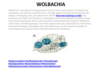 WOLBACHIA
Wolbachia, a naturally occurring bacterium found in many insect species, including some
mosquitoes, has become a powerful tool in the fight against mosquito-borne diseases like
dengue, chikungunya, Zika, and yellow fever. Get the best neet coaching in noida. This
bacterium can inhibit viral infections in mosquitoes and has the potential to reduce disease
transmission significantly. Here are the key points and developments related to Wolbachia
and its role in combating dengue. The Aedes aegypti mosquito, responsible for transmitting
diseases like dengue, chikungunya, Zika, and yellow fever, can be rendered incapable of
transmitting these diseases when artificially infected with Wolbachia.
#toppersacademy #wolbachiawonder #microbemagic
#insectguardians #bacterialbalance #VectorControl
#infectiousinnovation #tinyprotectors #microbialmarvels
 