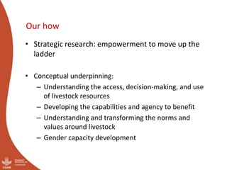 Moving up the livestock ladder: Gender and equity