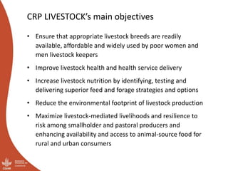 Moving up the livestock ladder: Gender and equity