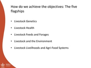 Moving up the livestock ladder: Gender and equity