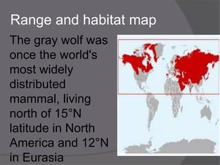 Range and habitat map
The gray wolf was
once the world's
most widely
distributed
mammal, living
north of 15°N
latitude in North
America and 12°N
in Eurasia
 