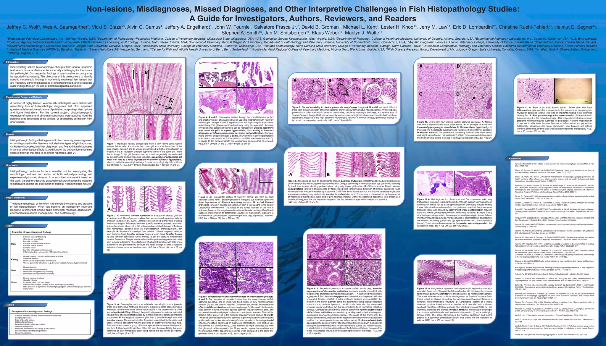 Non-lesions, Misdiagnoses, Missed Diagnoses, and Other Interpretive