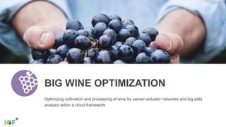Optimizing cultivation and processing of wine by sensor-actuator networks and big data
analysis within a cloud framework
BIG WINE OPTIMIZATION
 
