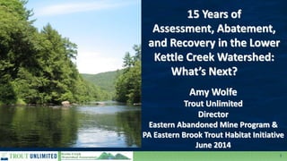 1
15 Years of
Assessment, Abatement,
and Recovery in the Lower
Kettle Creek Watershed:
What’s Next?
Amy Wolfe
Trout Unlimited
Director
Eastern Abandoned Mine Program &
PA Eastern Brook Trout Habitat Initiative
June 2014
 