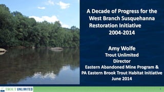 1
A Decade of Progress for the
West Branch Susquehanna
Restoration Initiative
2004-2014
Amy Wolfe
Trout Unlimited
Director
Eastern Abandoned Mine Program &
PA Eastern Brook Trout Habitat Initiative
June 2014
 
