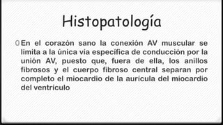Histopatología
0 En el corazón sano la conexión AV muscular se
 limita a la única vía específica de conducción por la
 unión AV, puesto que, fuera de ella, los anillos
 fibrosos y el cuerpo fibroso central separan por
 completo el miocardio de la aurícula del miocardio
 del ventrículo
 