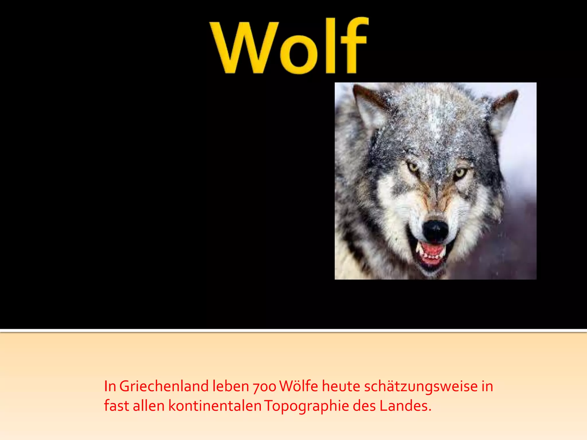 InGriechenland leben 700Wölfe heute schätzungsweise in
fast allen kontinentalenTopographie des Landes.