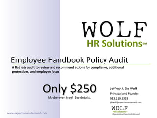 Jeffrey J. De Wolf Principal and Founder 913.219.5353 [email_address] Employee Handbook Policy Audit  A flat rate audit to review and recommend actions for compliance, additional protections, and employee focus www.expertise-on-demand.com Only $250 Maybe even  free !  See details. 