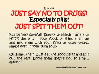 Rule #18
JUST SAY NO TO DRUGS!
Especially pills!
JUST SPIT THEM OUT!
But be very careful! Sneaky 2-leggeds may try to
HIDE...