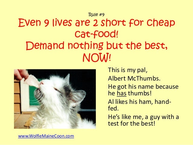 Best Food To Hide Cat Pills In Best Food To Hide Cat Pills In