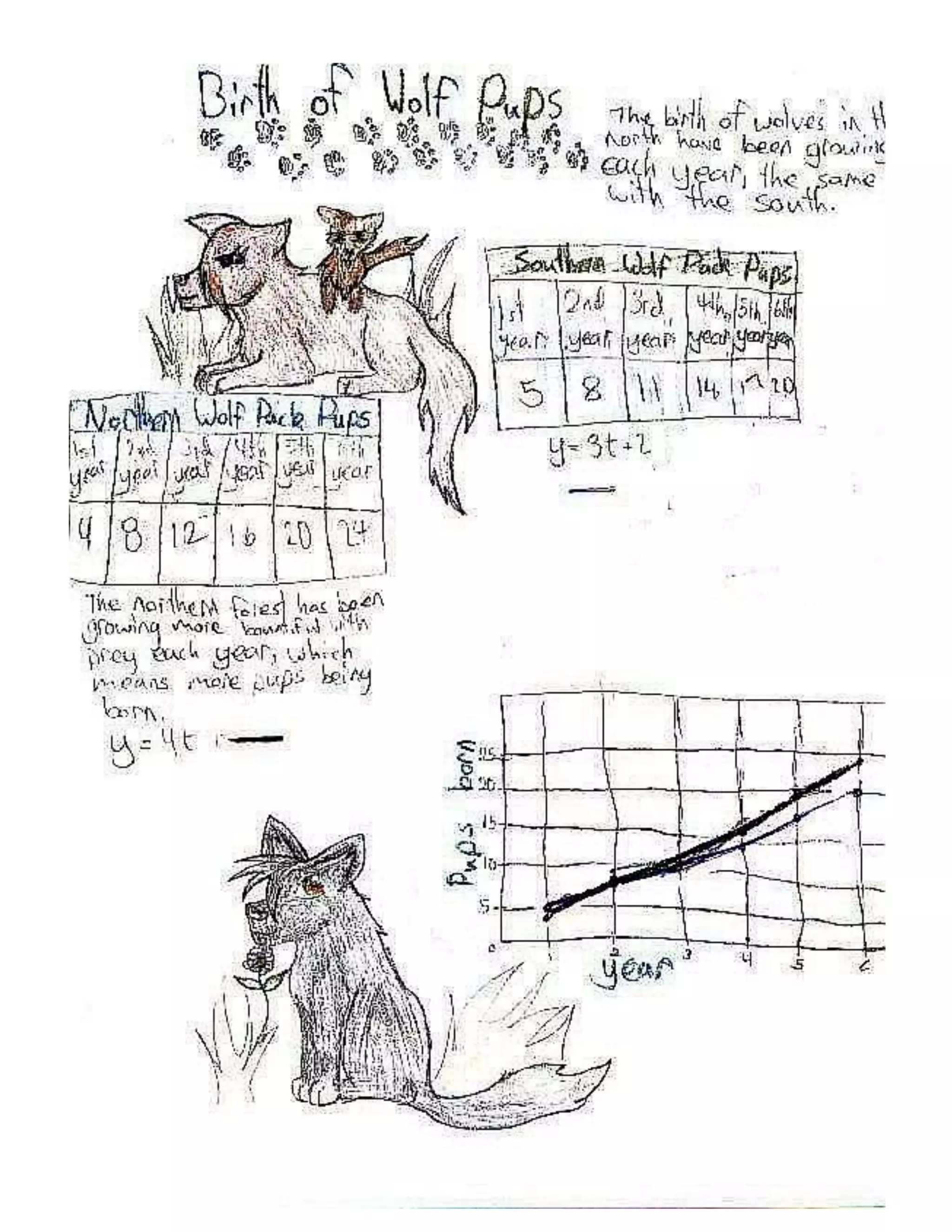 Wolf pups